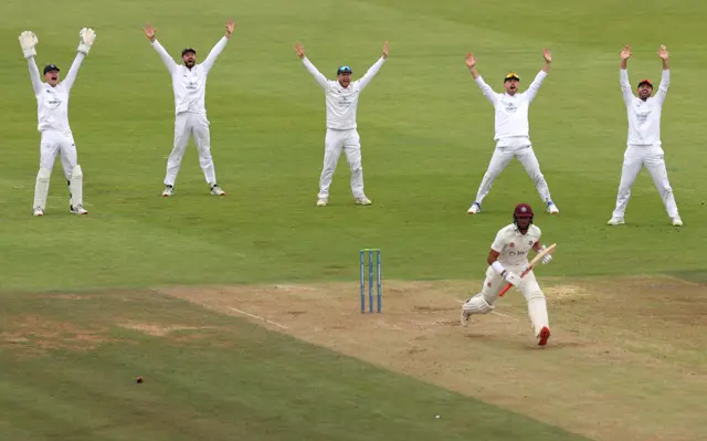 Hampshire's celebrating slip cordon