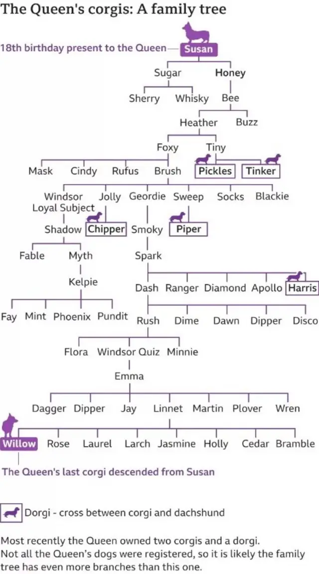 The Queen's corgi family tree