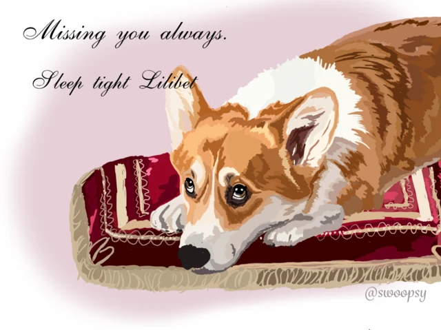 A digital portrait of a corgi lying on a red and gold velvet cushion with sad eyes looking upwards, above the Corgi reads "Missing you always, sleep tight Lilibet"