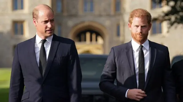 Princes William and Harry greet the crowds in Windsor wearing black suits