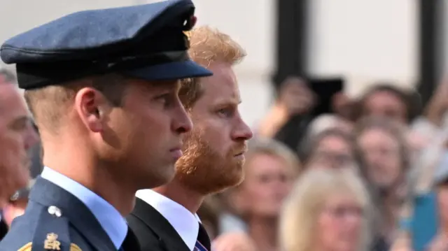 Princes William and Harry together in the procession behind the Queen's coffin