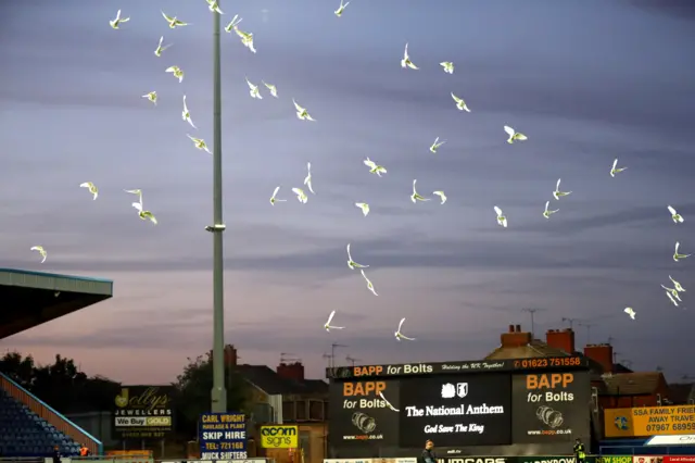 Doves released at Mansfield