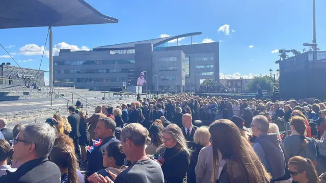 Torf Senedd