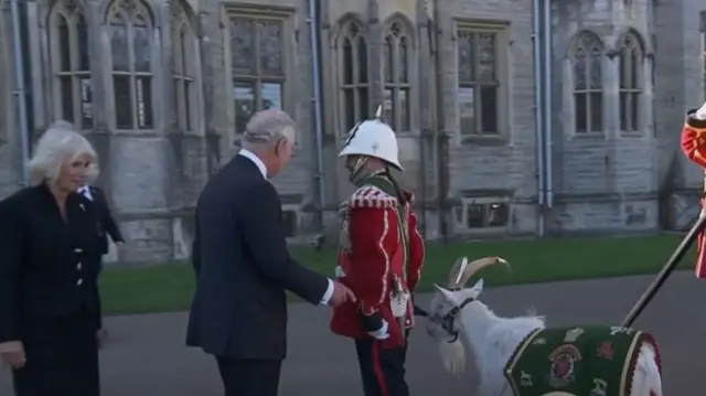 King Charles and Camilla, the Queen Consort, meet Lance Corporal Shenkin IV - a goat - of the Third Battalion of The Royal Welsh