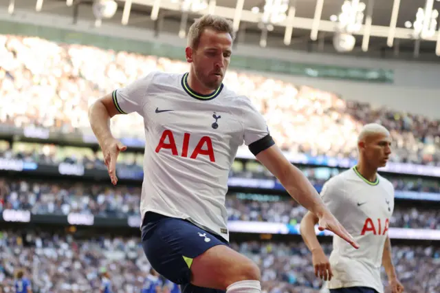 Harry Kane celebrates his equaliser