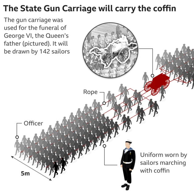 BBC graphic shows a 5m-wide formation of 142 sailors pulling the State Gun Carriage, with further naval personnel following behind