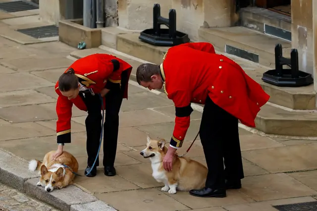 Muick and Sandy are stroked as they wait for the Queen's coffin