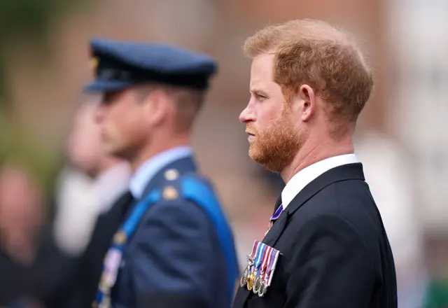 The Prince of Wales and the Duke of Sussex