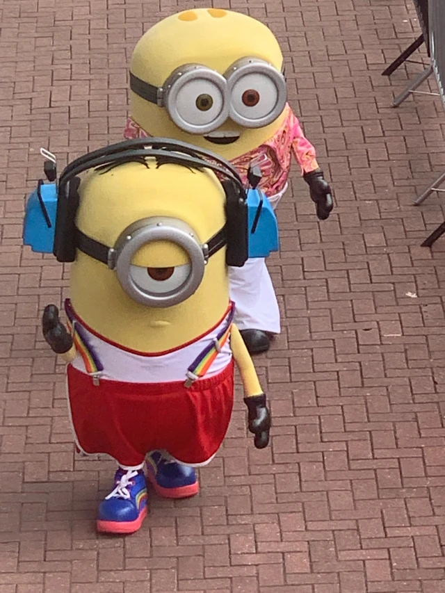 Minions at Ageas Bowl