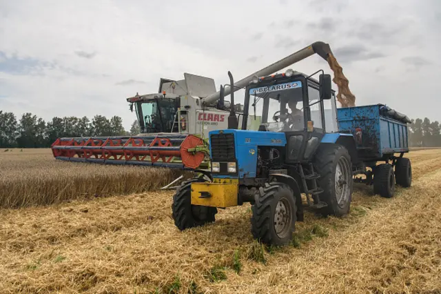 Grain harvester collecting wheat near Kyiv