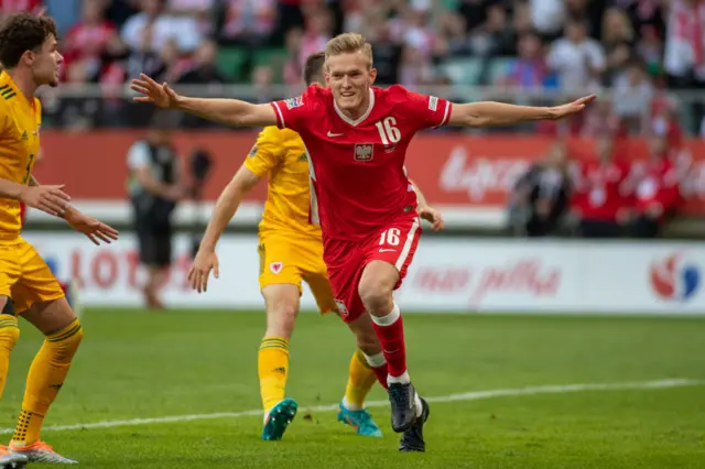 Poland goal celebration v Wales in reverse game