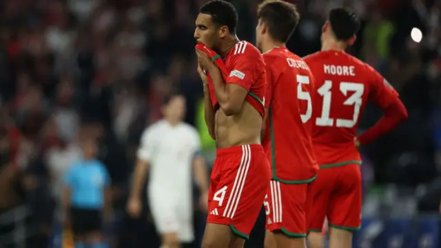 Wales players look dejected