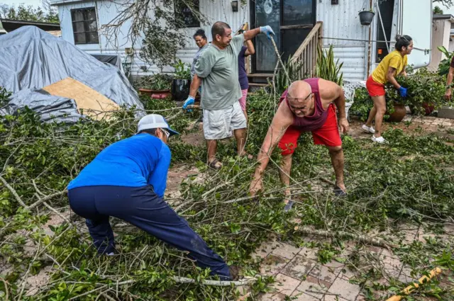 People cleaning tree debris