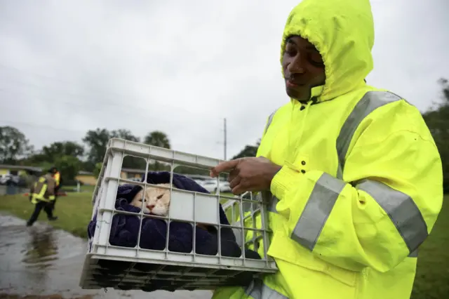 Officials rescuing people and pets