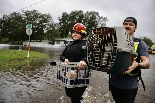 Officials rescuing people and pets