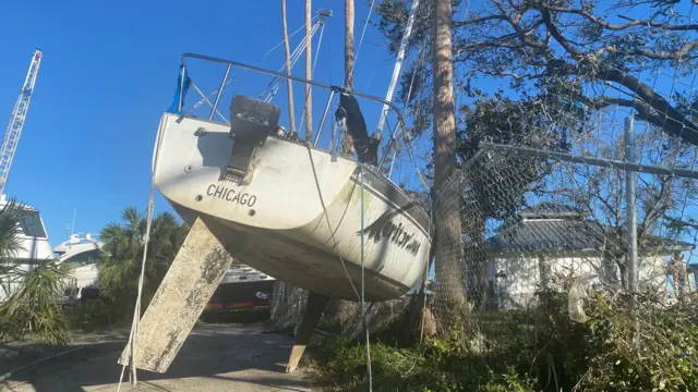 A sailboat rests against a palm tree