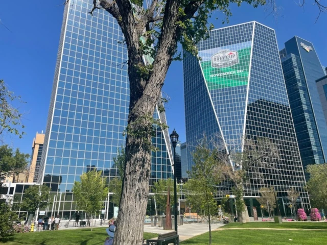 Skyscrapers overlooking a small park in Regina