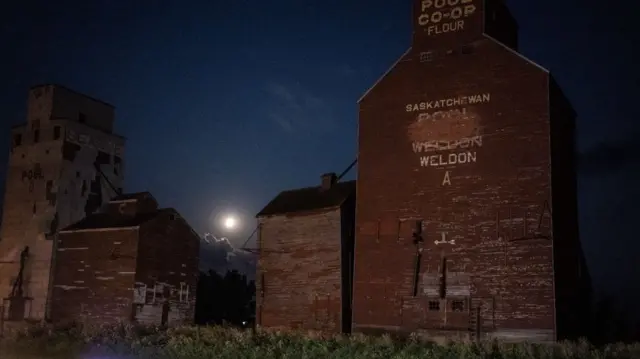 Grain elevator