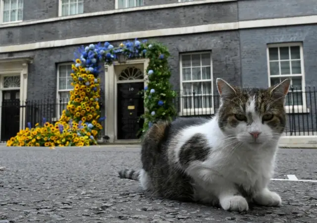 Larry the Cat, pictured outside No 10 Downing Street last month