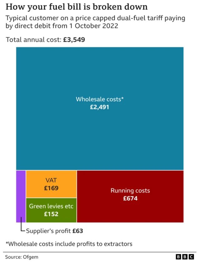 Graphic showing how fuel bills are broken down