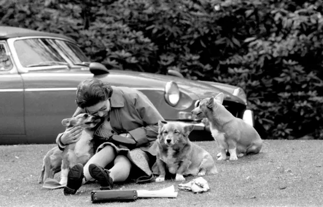 f Queen Elizabeth II sitting on a grassy bank with the corgis at Virginia Water to watch competitors,