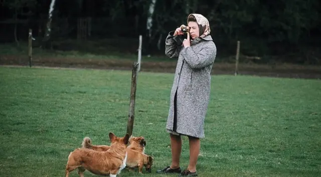 The Queen takes a photo while out walking with three of her beloved corgis