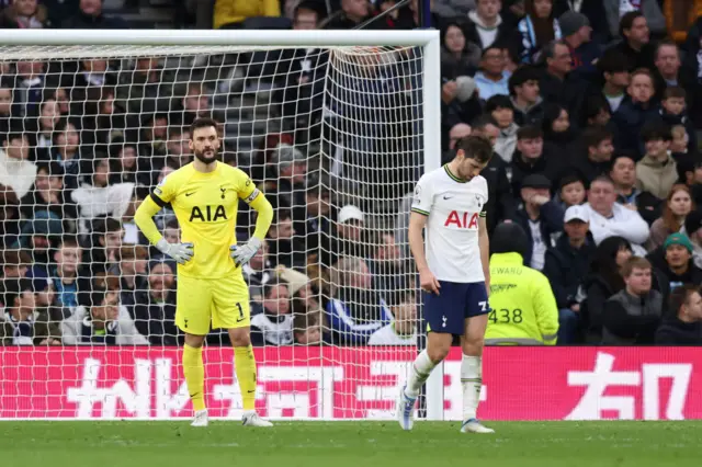 Hugo Lloris
