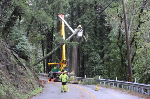 Heavy rain brings down trees in the Santa Cruz mountains above Silicon Valley