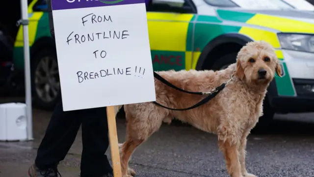 A dog next to a picket line sign