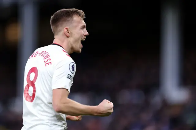 Southampton captain James Ward-Prowse celebrates equalising against Everton.