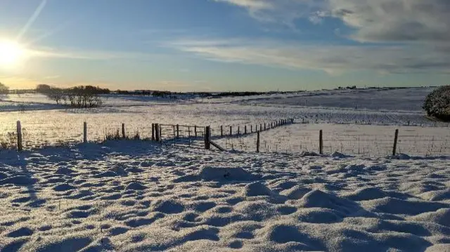 A snowy field in Aberdeenshire