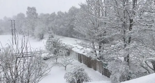 A snow covered road and trees in Scotland