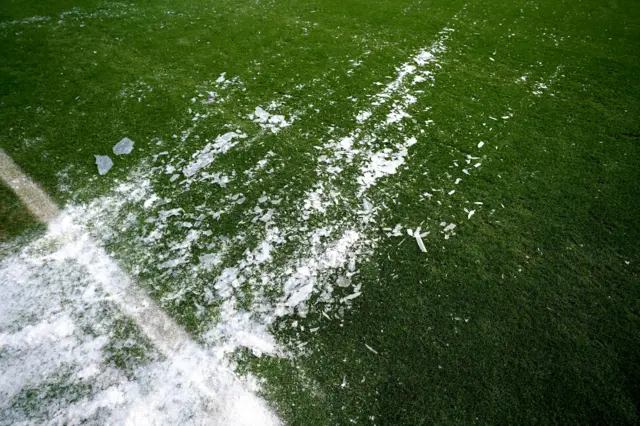 chelsea pitch