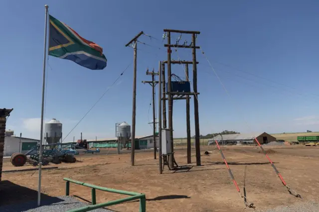 electricity poles at the Frangipani Boerdery farm