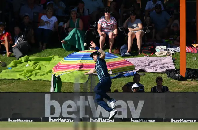 David Willey takes a catch to dismiss David Miller