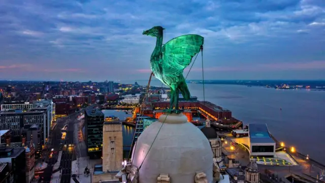 Liver bird