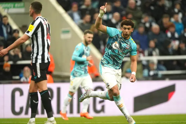 Che Adams celebrates scoring against Newcastle