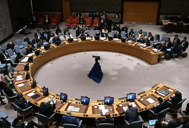 General view from a United Nations Security Council meeting