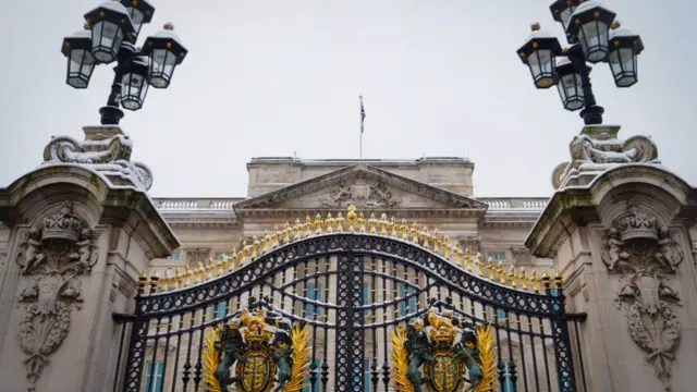 View of Buckingham Palace's gate