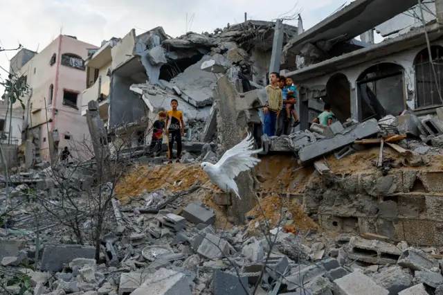 A dove flies over the debris of houses destroyed in Israeli strikes, in Khan Younis in the southern Gaza Strip October 11, 2023. REUTERS/Ibraheem Abu Mustafa