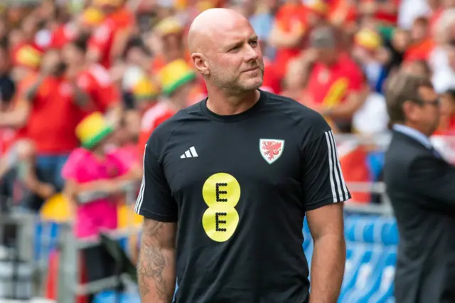 rob page, wales manager