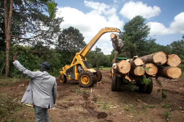 A logging site in Kenya. Photo dated August 2023.