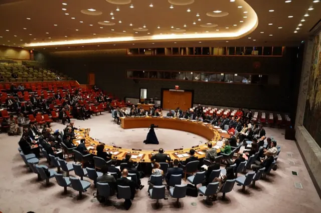 UN Security Council