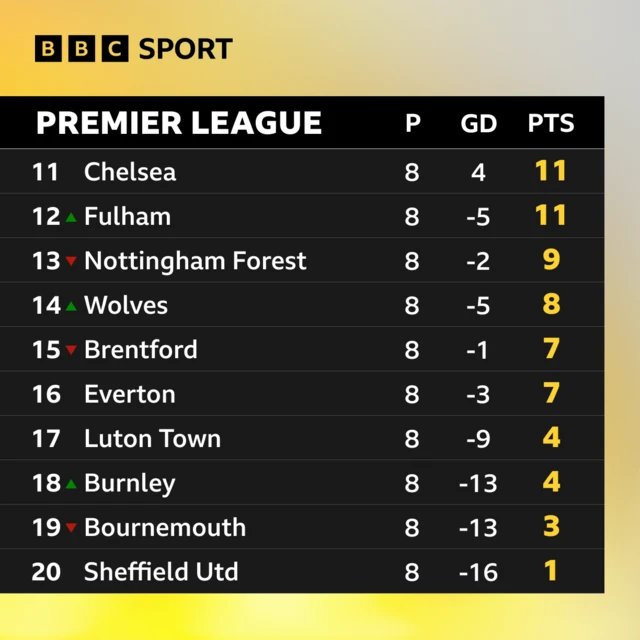 Bottom half of the Premier League table