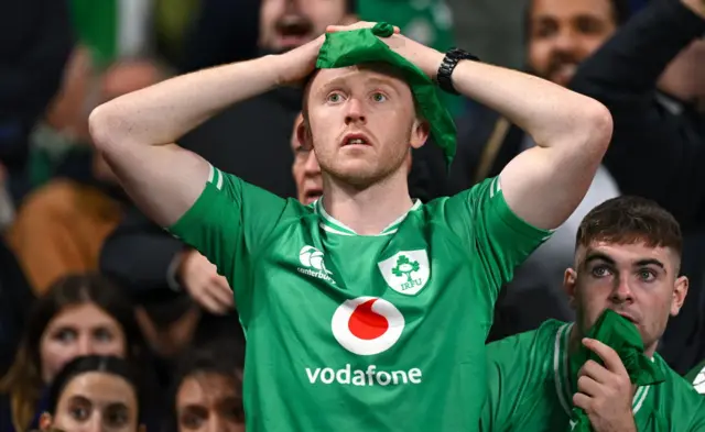 Ireland fan