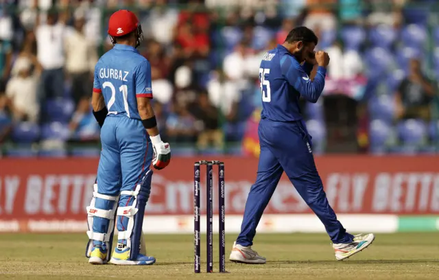 Adil Rashid celebrates the wicket of Ibrahim Zadran