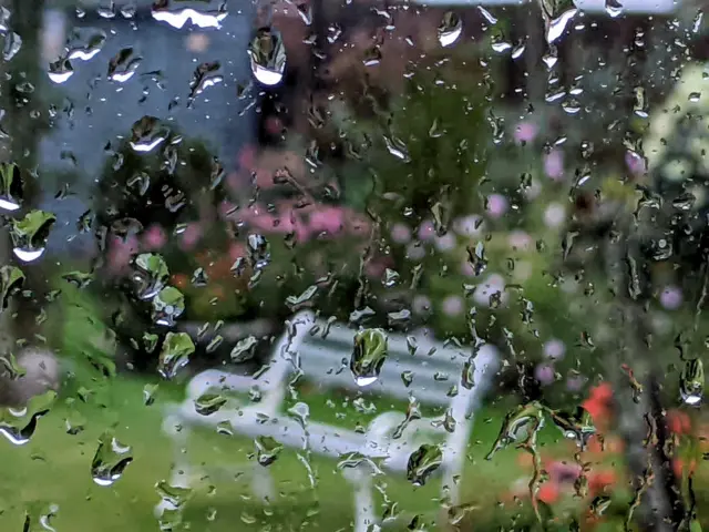 bench in the rain