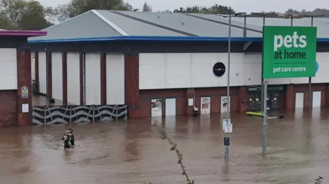 Staff rescuing animals from flooding at Pets at Home