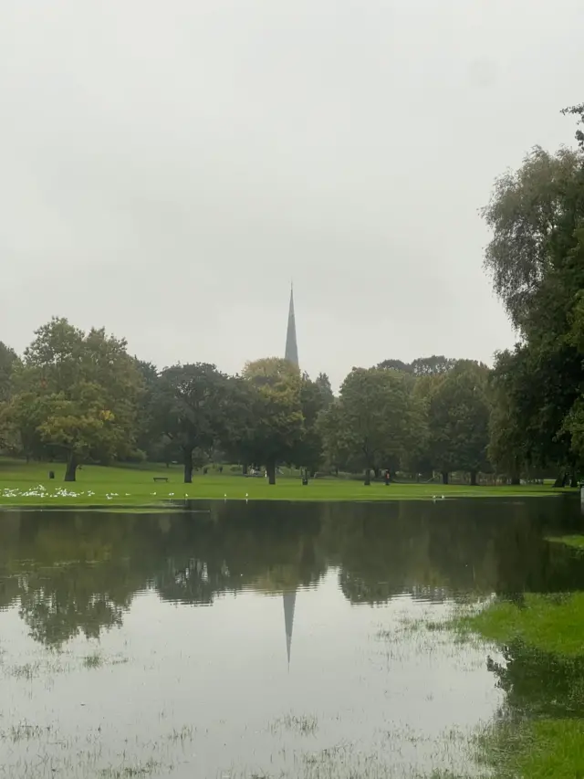 Flooded park