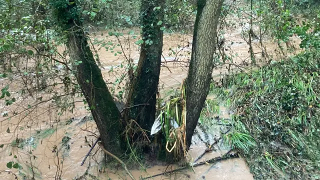 Fast-flowing waterway